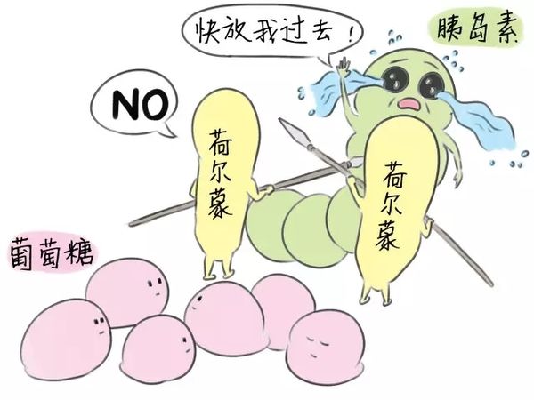 糖尿病的病因.jpg